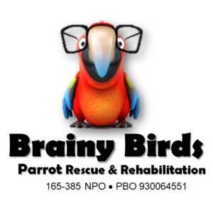 Brainy Birds Food Voucher